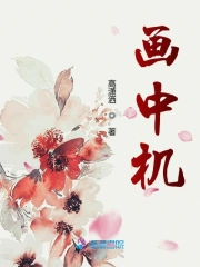  画中机