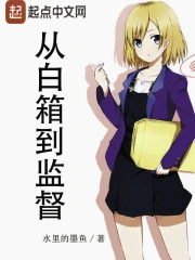  从白箱到监督