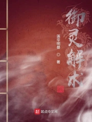  御灵解术