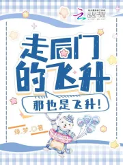  走后门的飞升，那也是飞升！