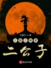  三国之韩家二公子